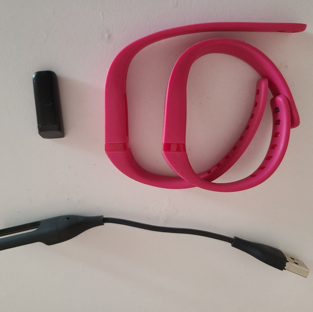 Fitbit Tracker - image 3